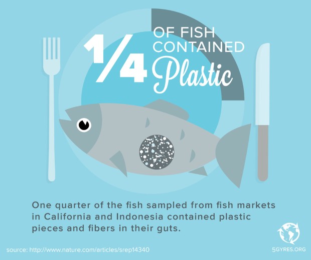 microbeads5