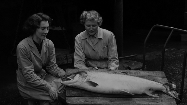 still from The Realm of Forgotten Existence - 28 minutes Year 2015 HD video - Piotr Piasta