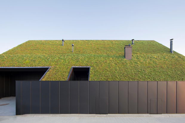 House-behind-the-roof-naslovna