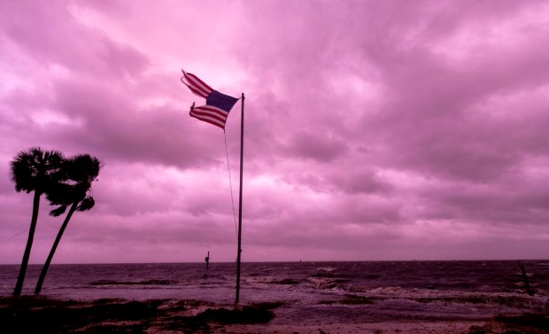 purple1