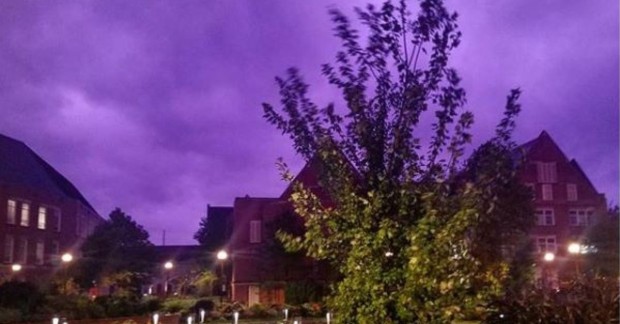 purple2