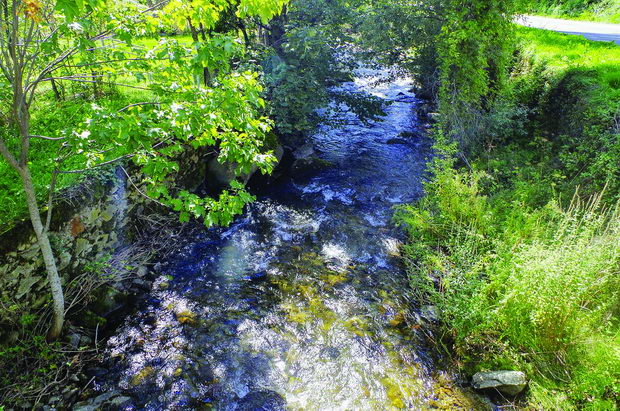 Brajcinska reka
