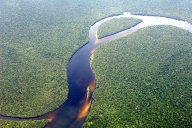 deforestation2