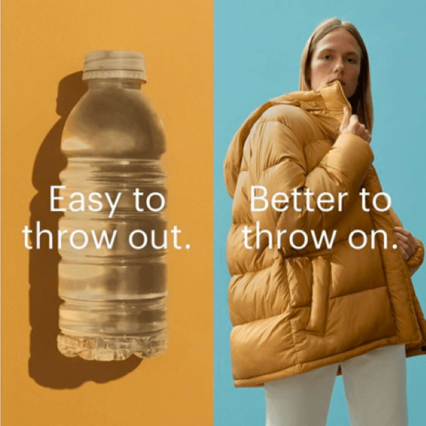 everlane4
