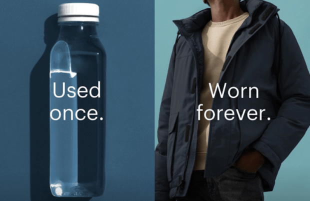 everlane5