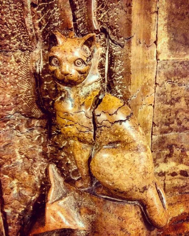 luckycat
