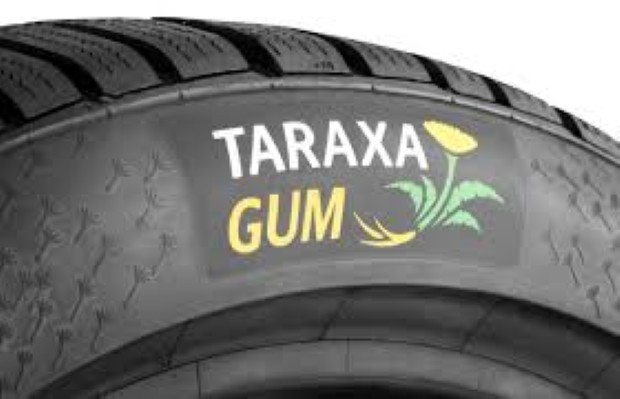 taraxa1
