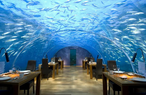 1-samo-za-najhrabrite-avanturisti-ova-se-najchudnite-restorani-vo-svetot-www.kafepauza.mk_