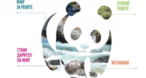 WWF: Сите реки во Бугарија се сериозно погодени од изградбата на мали хидроцентрали и други активности