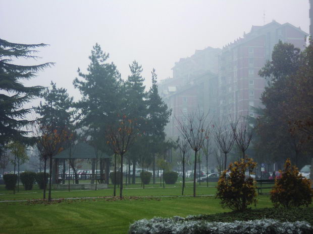 DSC04149