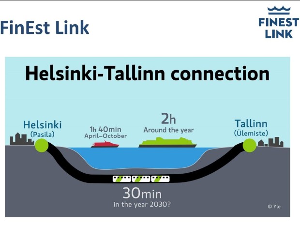 talin1