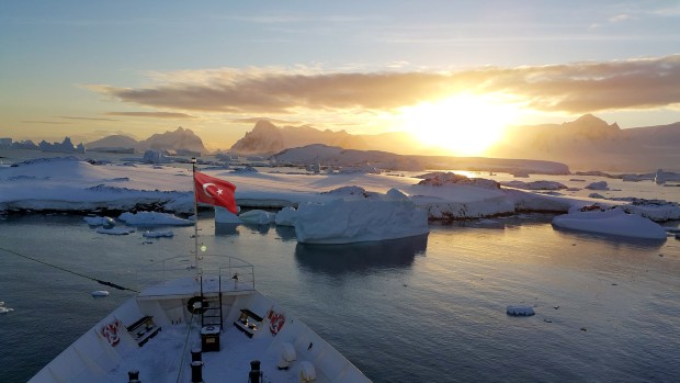 turkey2