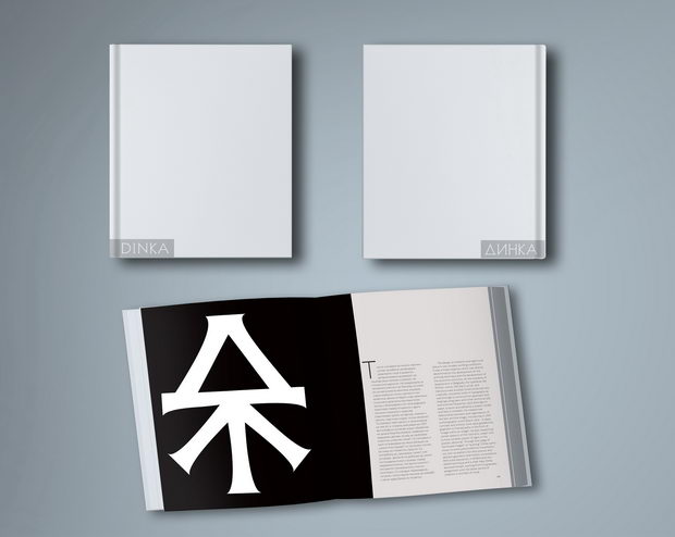dinka monografija