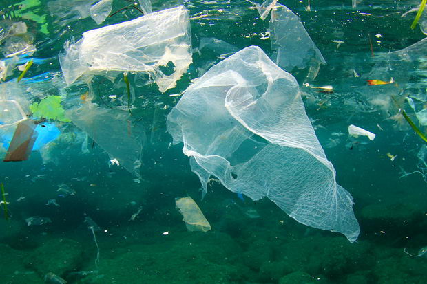 plastika