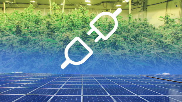 SDG3