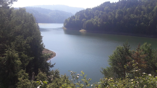 20190615_084123 (1)