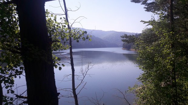 20190615_084536