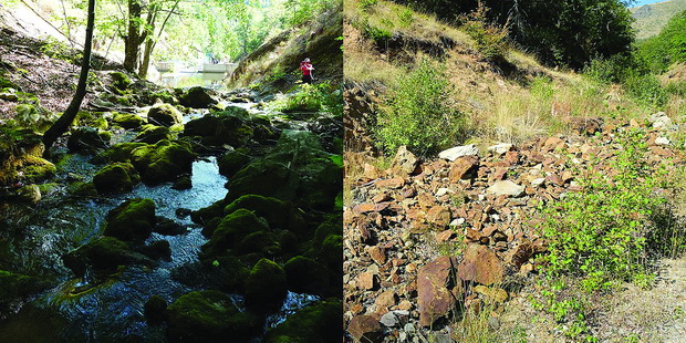Brajcinska reka - pred i po zafatot