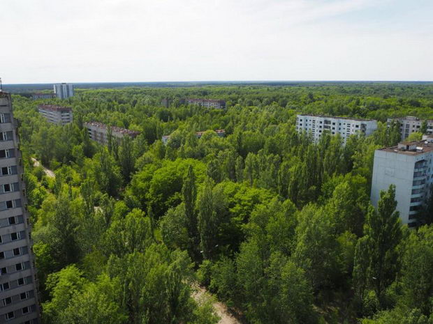 Cernobil5