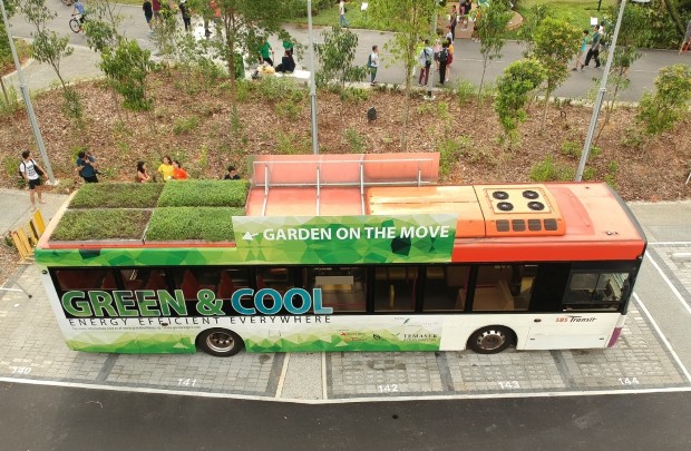 gardens in motion2