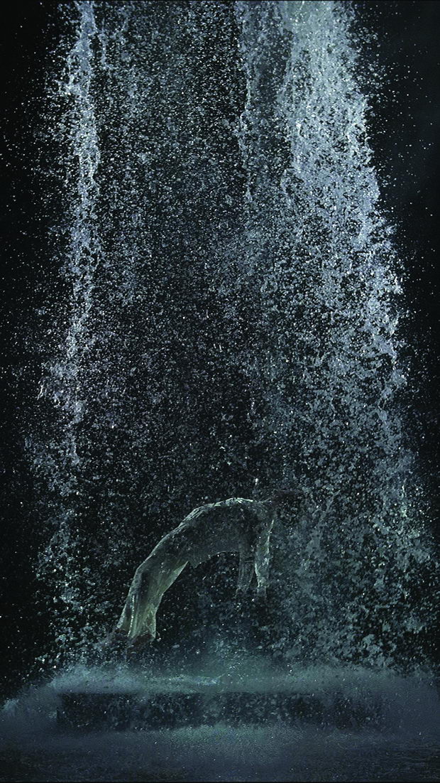 voznesenie_tristan_bill_viola