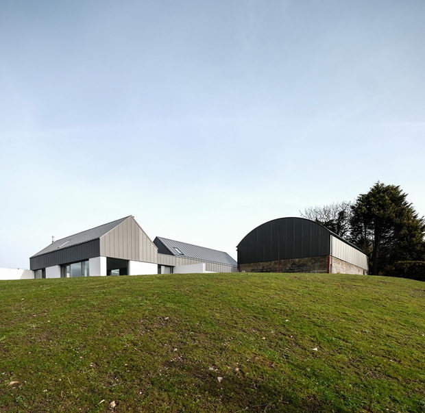 10-riba-najbolja-kuca-2019-lassons