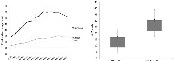 Effect of street trees on microclimate and air pollution in a tr