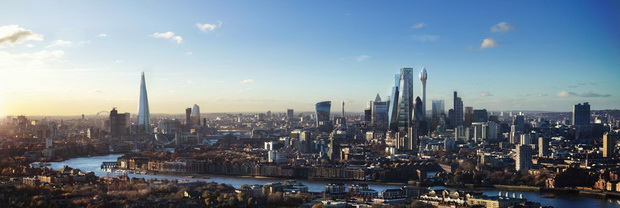 thetulip_skyline_654966