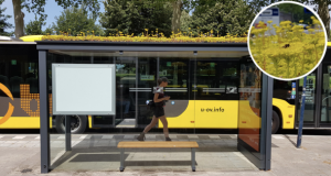 Над 300 автобуски постојки во Холандија претворени во зелени оази за пчели
