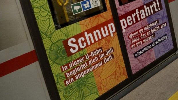 wlinien2