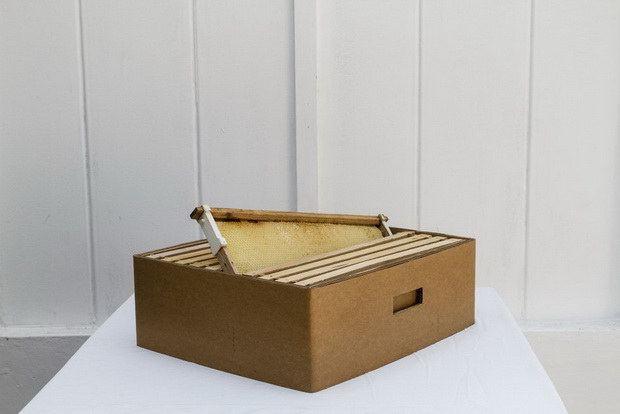 Brina-Fekonja-DIY-BEEHIVE-6-min-1024x683