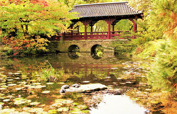 1008z653_25-zen---mir-