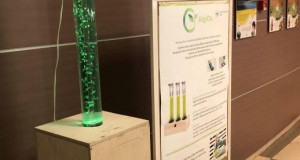 Иновација на српски студенти – „одгледување“ на чист воздух со помош на алги
