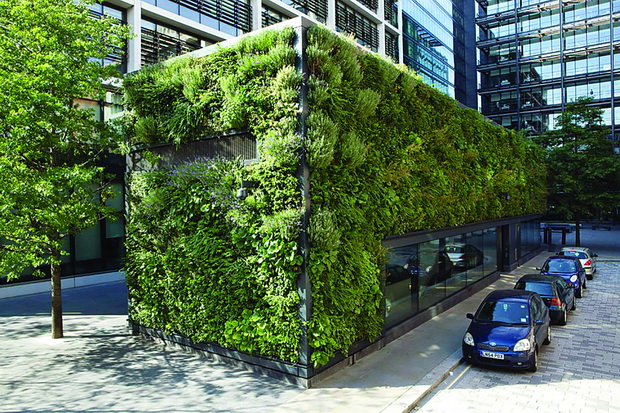 biophilic-building