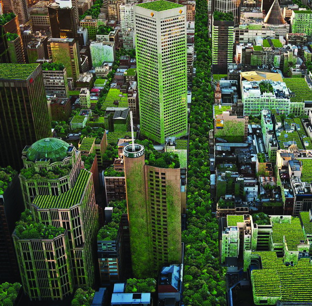 urban-forest