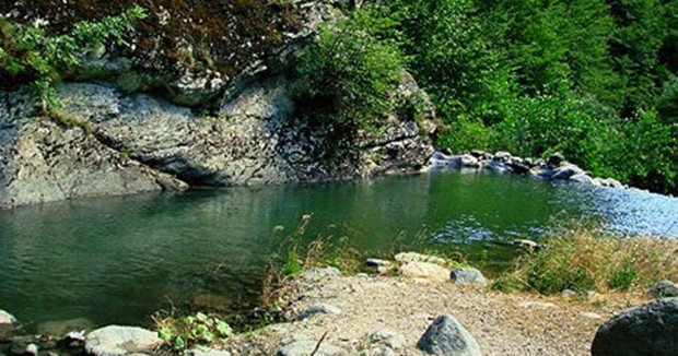 vratnica1