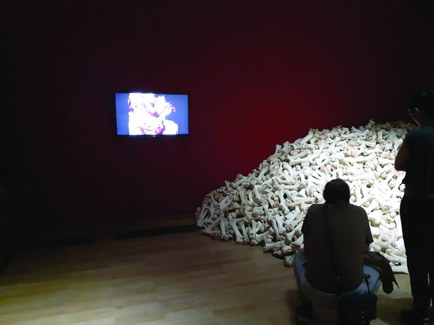 Cistac Marina Abramovic Belgrad 2019-11-10_20-36-08