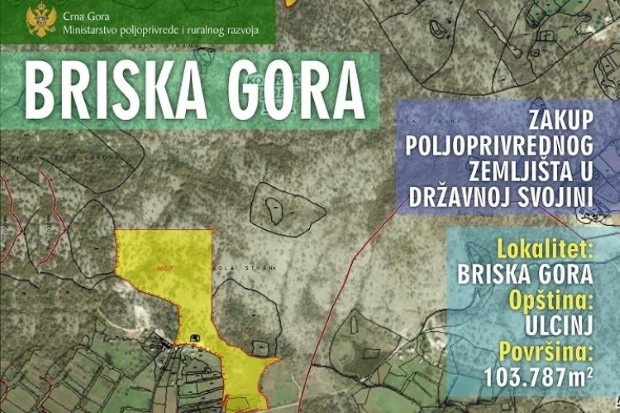 brsika4