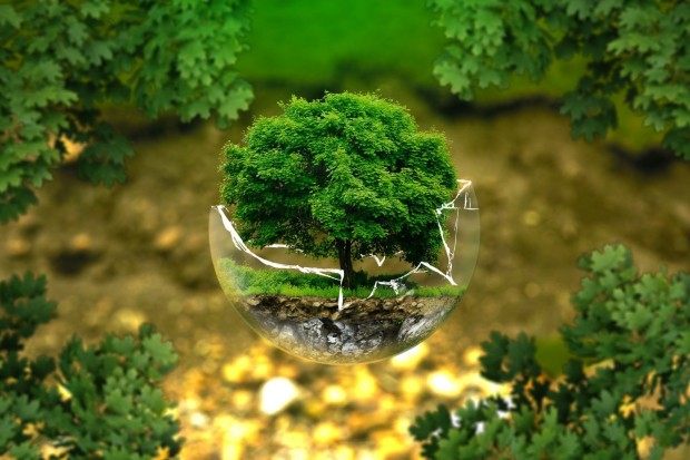 climateneutrality2