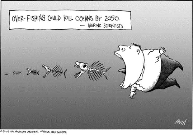 overfishing3