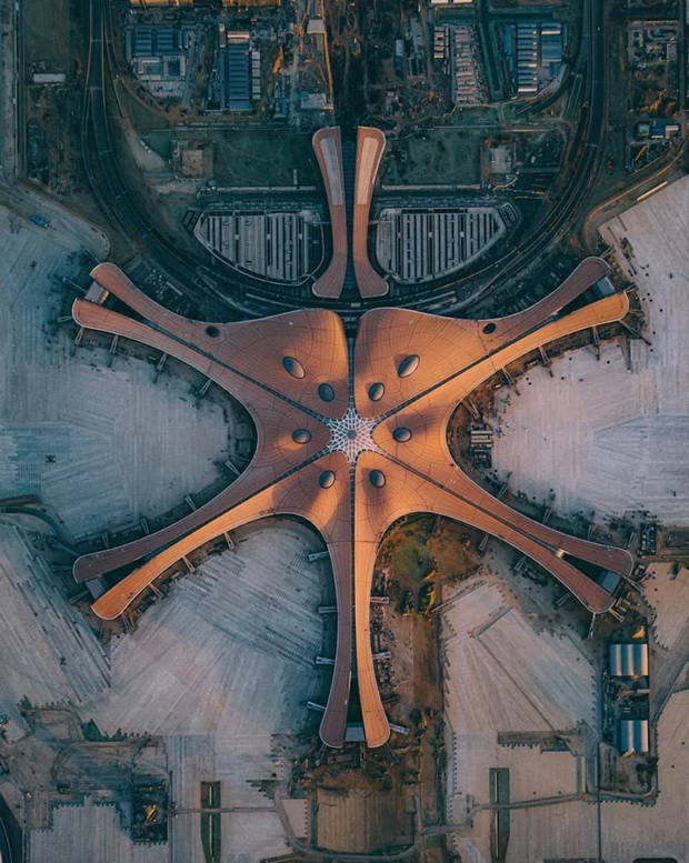 peking