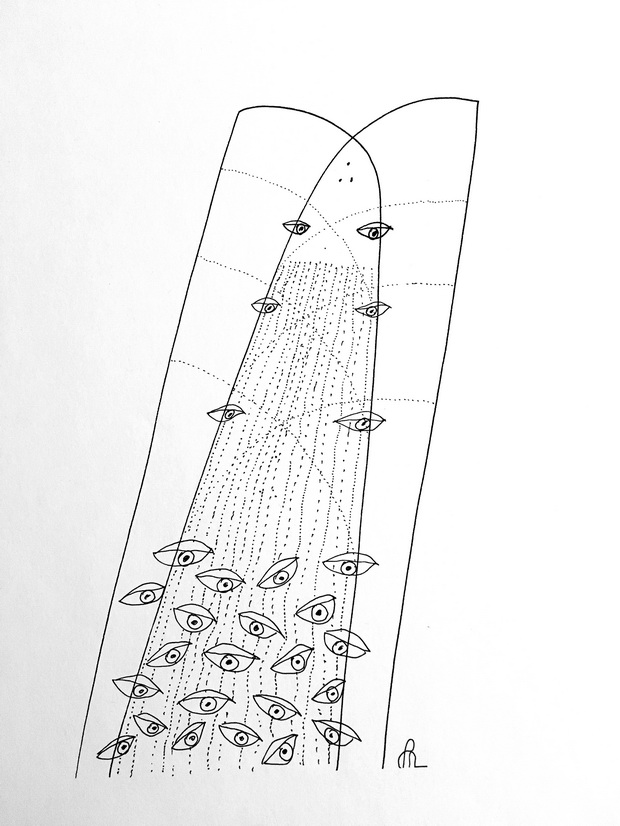 11_resize