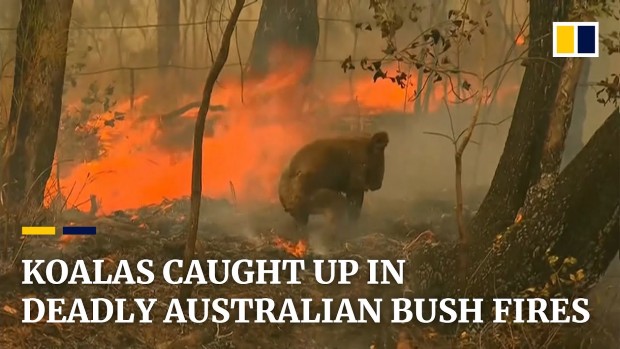 australiafires2