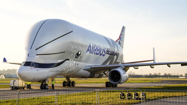 belugaXL1