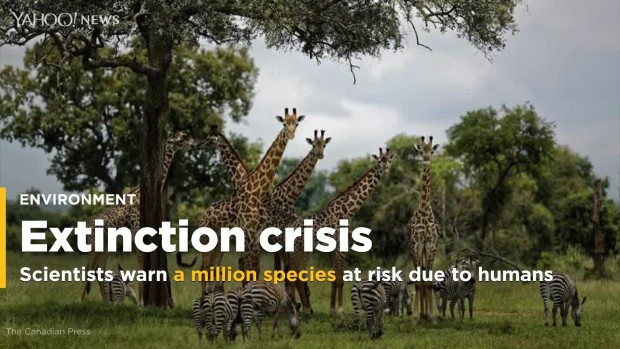 extinction1
