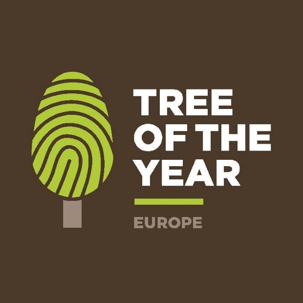 tree5