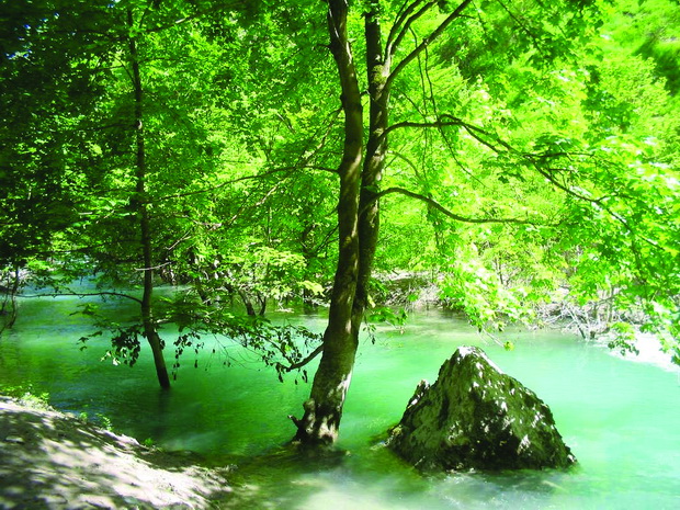 01_resize