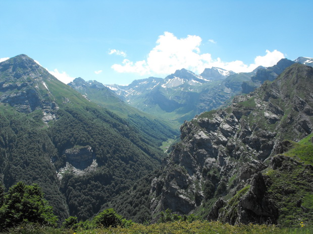 11_resize