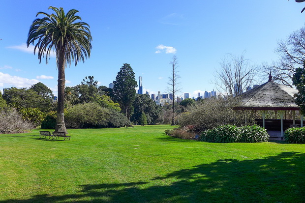 1620px-Royal_Botanic_Gardens_Melbourne_Eastern_Lawn_2018 - Copy_resize