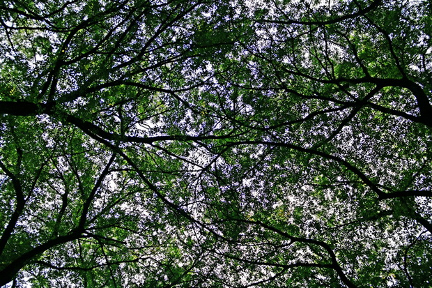 2_resize